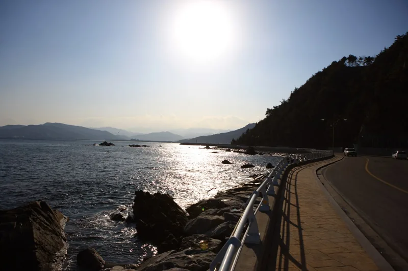 헌화로