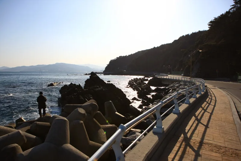 헌화로