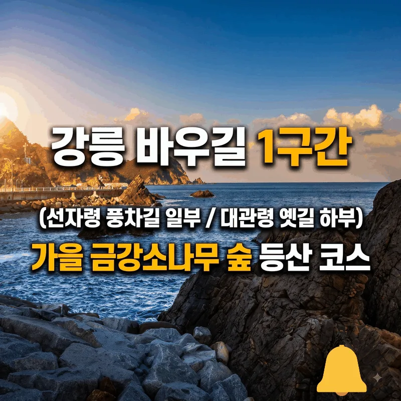 강릉 바우길 1구간 (선자령 풍차길 일부 / 대관령 옛길 하단) 가을 금강소나무 숲길 산행 코스