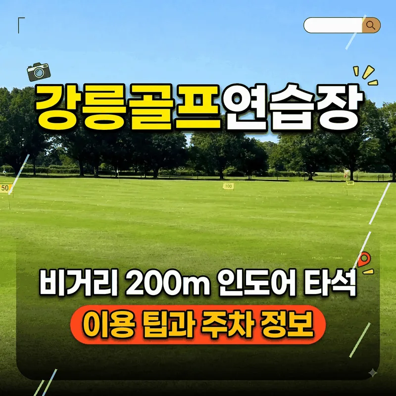 강릉골프연습장 비거리 200m 인도어 타석 이용 팁과 주차 정보