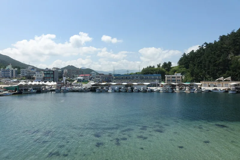 2016년 8월 20일 안인해변 DSC04303