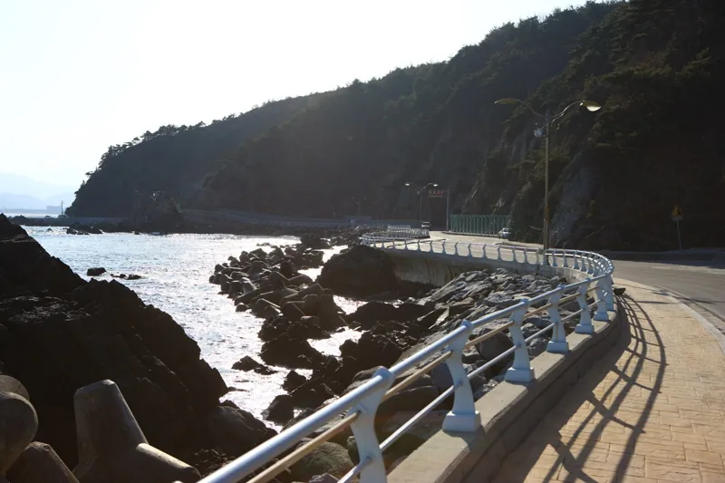 헌화로