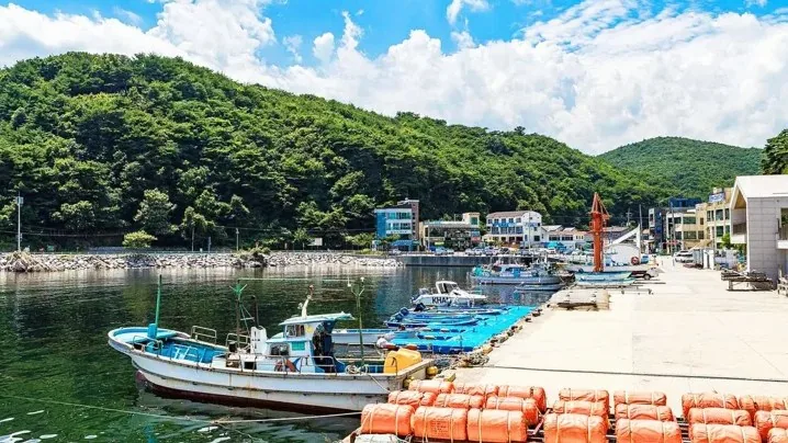심곡항 / 사진=비짓강릉