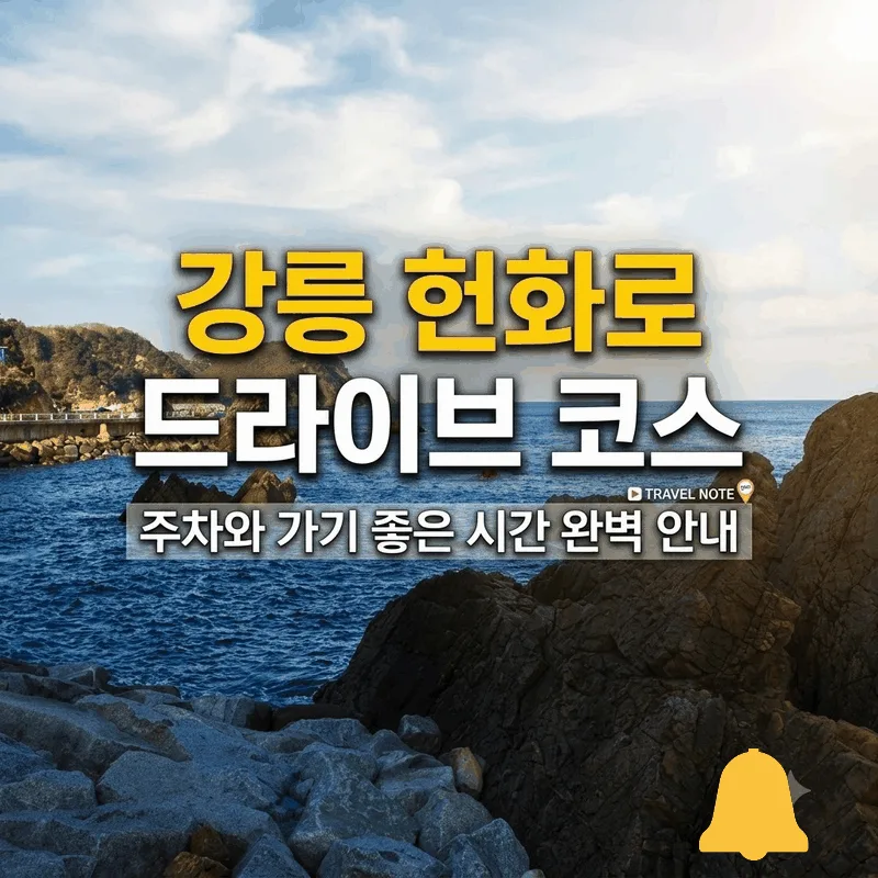 강릉 헌화로 드라이브 코스 주차와 가기 좋은 시간 완벽 안내