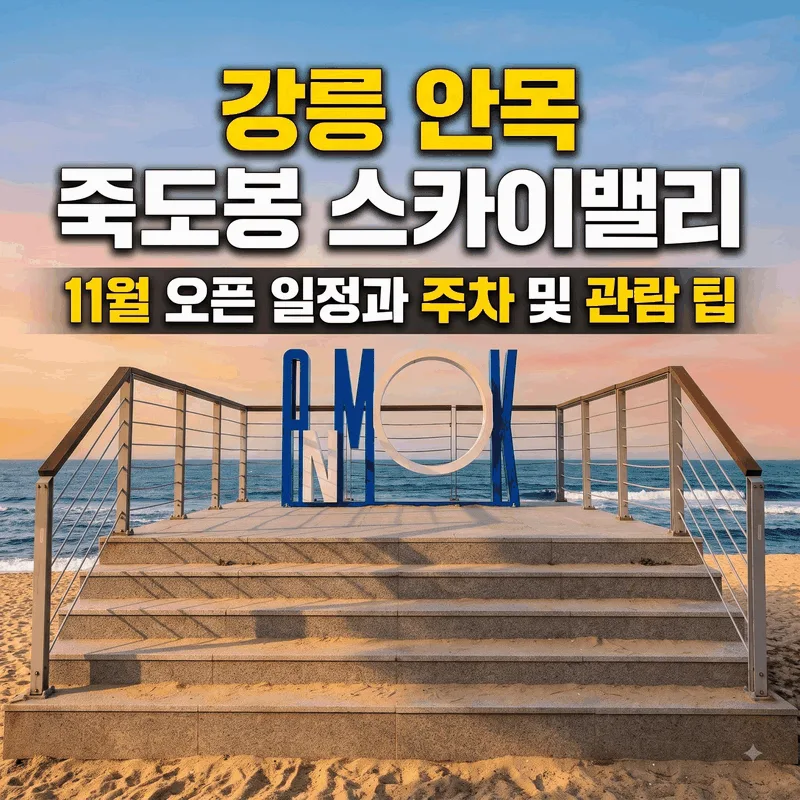 강릉 안목 죽도봉 스카이밸리 11월 오픈 일정과 주차 및 관람 팁