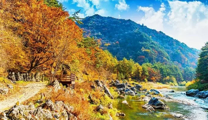 노추산 풍경 / 사진=비짓강릉