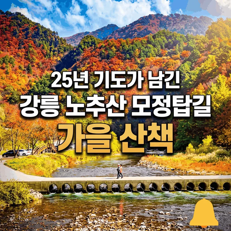 25년 기도가 남긴 강릉 노추산 모정탑길 가을 산책