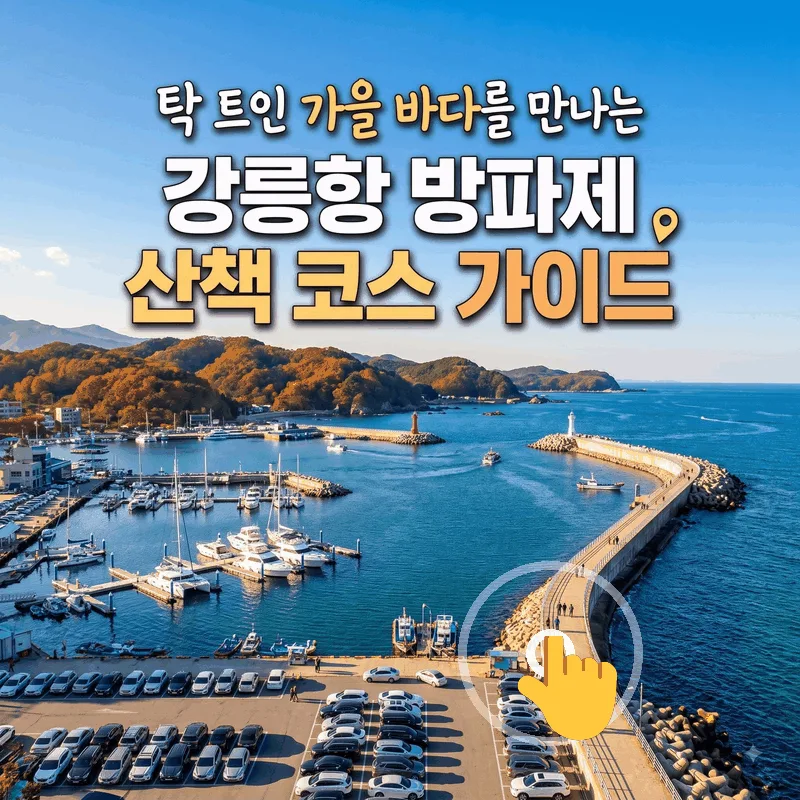탁 트인 가을 바다를 만나는 강릉항 방파제 산책 코스 가이드