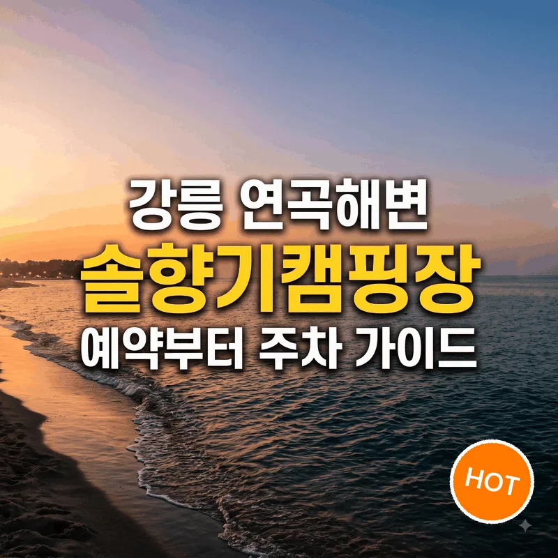 강릉 연곡해변 솔향기캠핑장 예약부터 주차 가이드