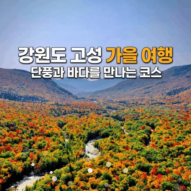 강원도 고성 가을 여행 단풍과 바다를 만나는 코스