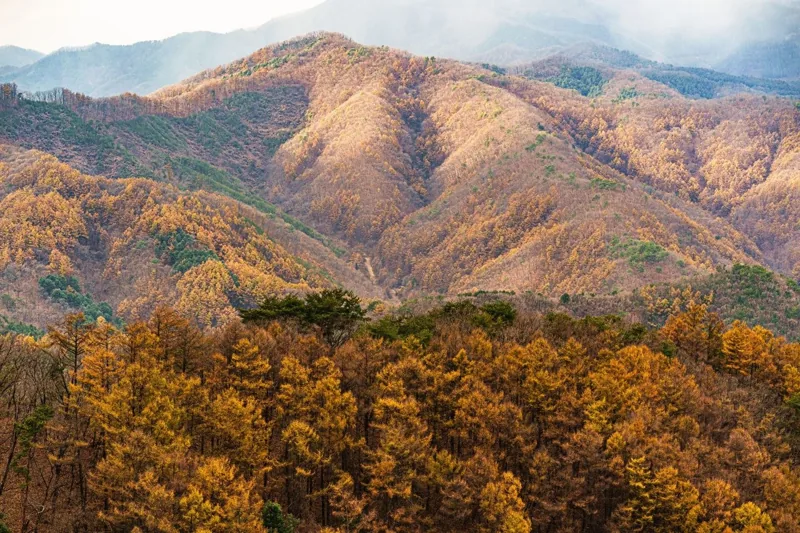 춘천 삼악산 호수케이블카