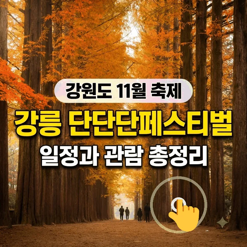 강원도 11월 축제 강릉 단단단페스티벌 일정과 관람 총정리