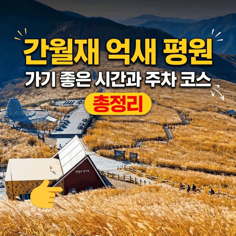 간월재 억새 평원 가기 좋은 시간과 주차 코스 총정리