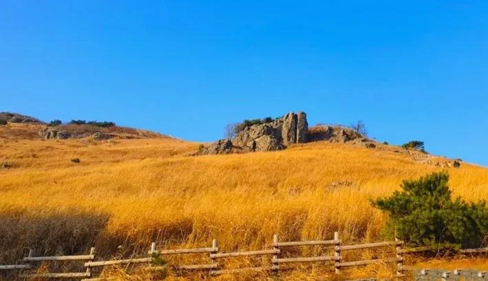 울산 간월재 / 사진=울산 공식블로그 이정은