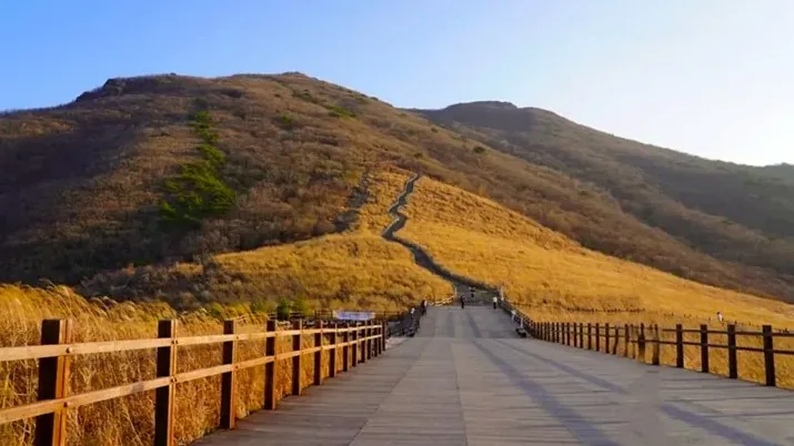 울산 간월재 전경 / 사진=울산 공식블로그 이정은