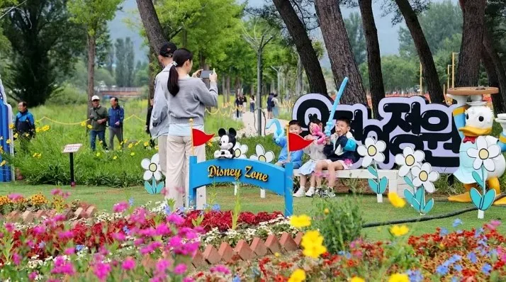 지난 자라섬 꽃 페스타 / 사진=가평군