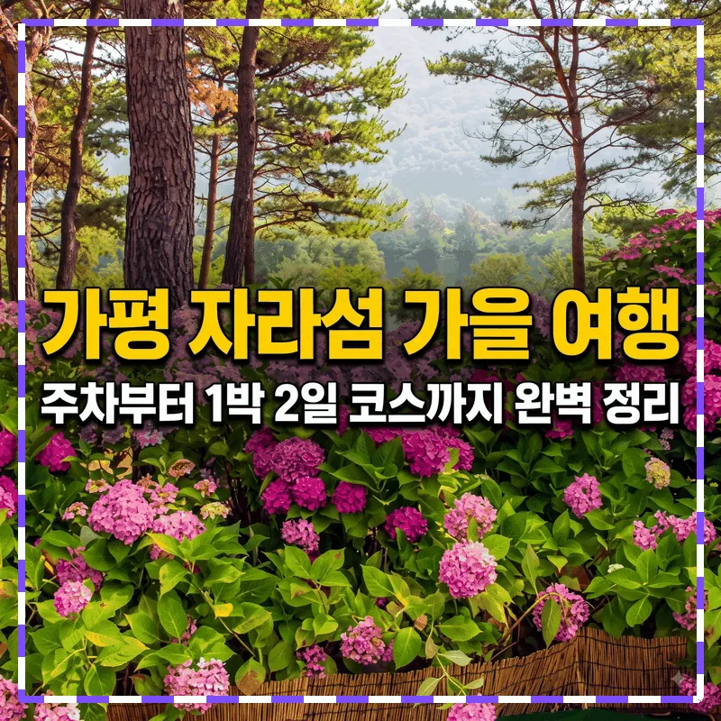 가평 자라섬 가을 여행, 주차부터 1박 2일 코스까지 완벽 정리