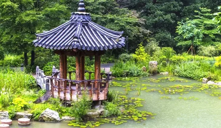 아침고요수목원 서화연 / 사진=게티이미지뱅크
