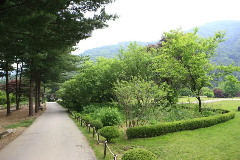 아침고요수목원
