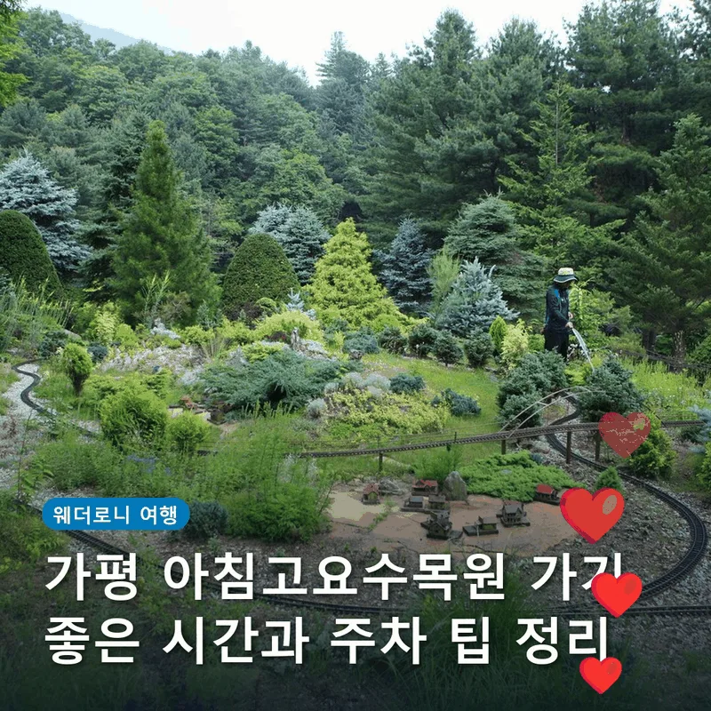 가평 아침고요수목원 가기 좋은 시간과 주차 팁 정리