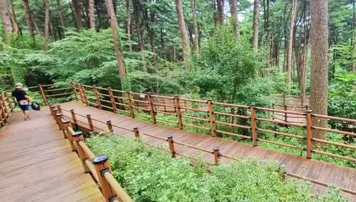 잣향기푸른숲 / 사진=대한민국 구석구석