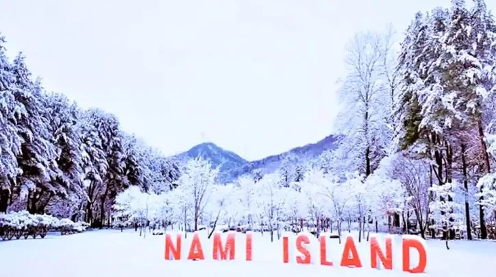 남이섬 / 사진=남이섬