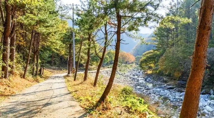 명지계곡 코스 / 사진=한국관광콘텐츠랩