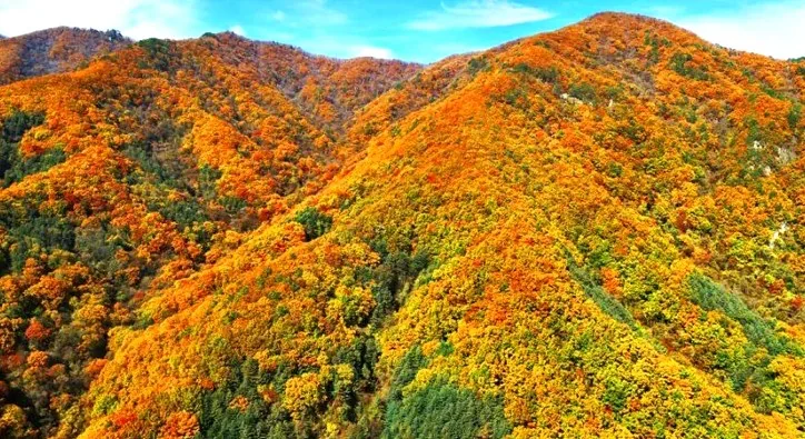 명지산 가을 풍경 / 사진=한국관광콘텐츠랩
