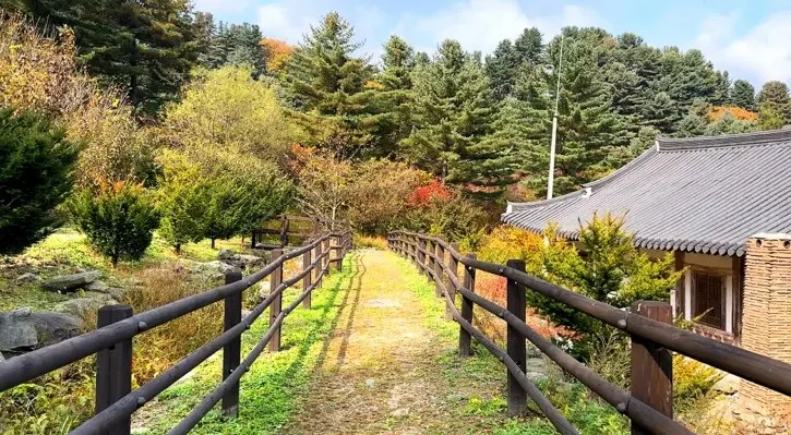 가평 잣향기푸른숲 / 사진= 경기도 공식 블로그 전현수
