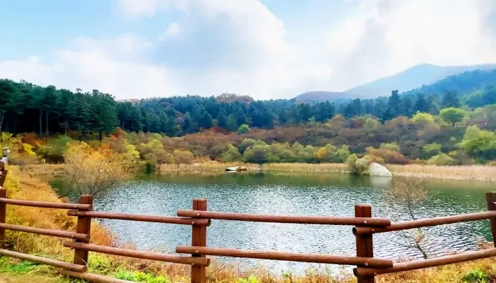 사방댐 / 사진= 경기도 공식 블로그 전현수