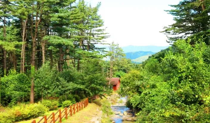잣향기푸른숲 / 사진= 경기도 공식 블로그 한아름