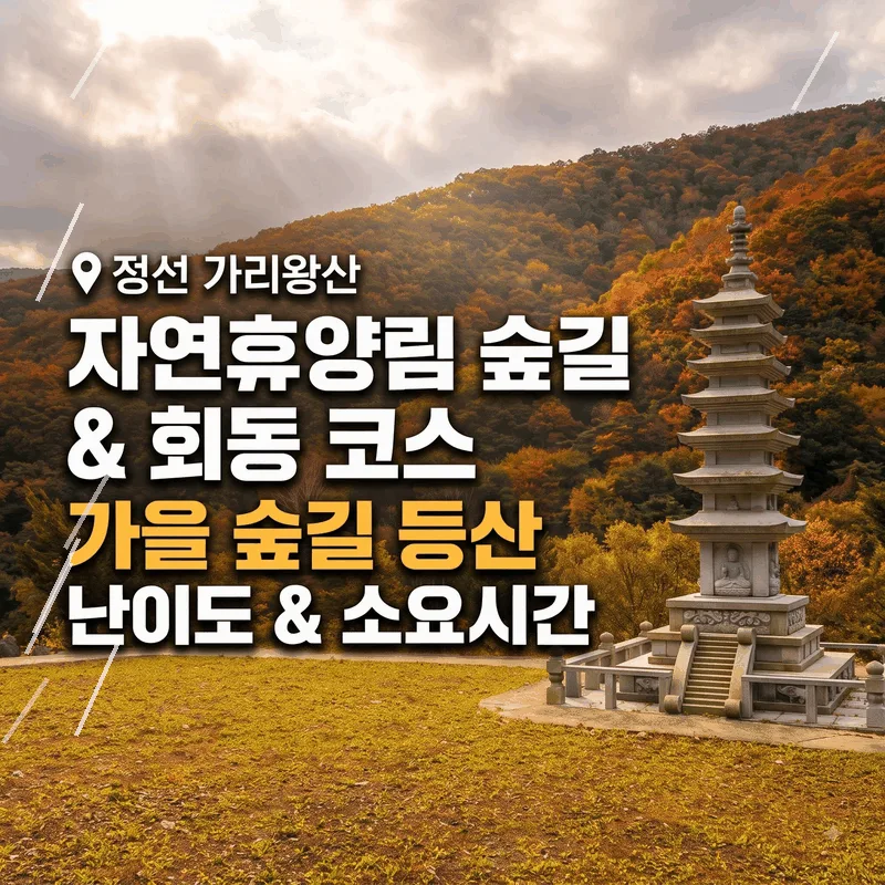 정선 가리왕산 자연휴양림 임도 및 회동 코스 가을 숲길 산행 난이도와 소요 시간