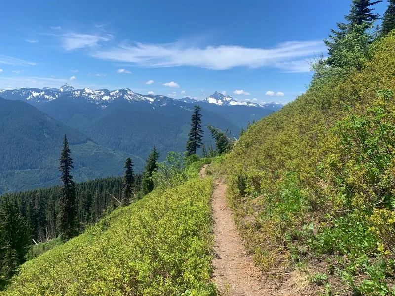 Green Mountain Trail, Mt. Baker-Snoqualmie
