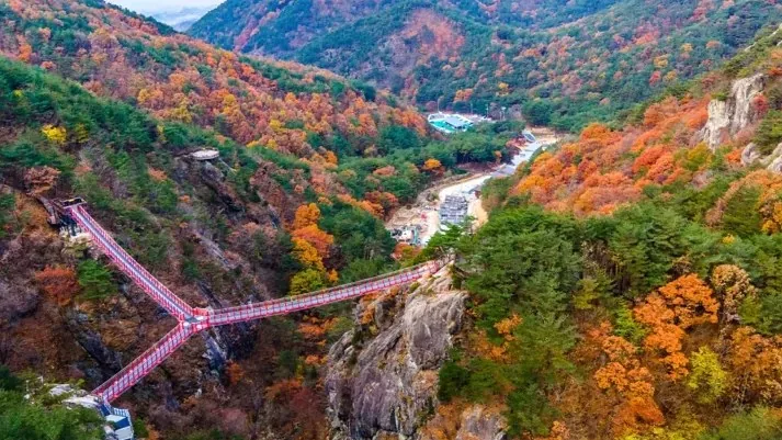 우두산 출렁다리 가을 모습 / 사진=공식홈페이지