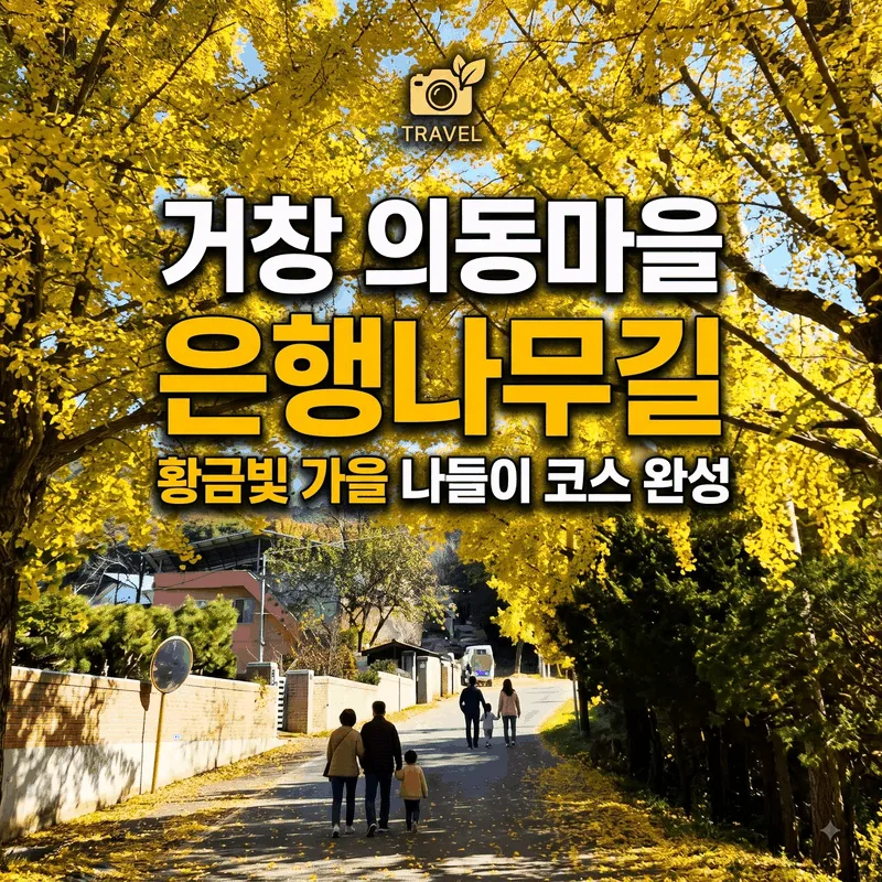 거창 의동마을 은행나무길 황금빛 가을 나들이 코스 완성