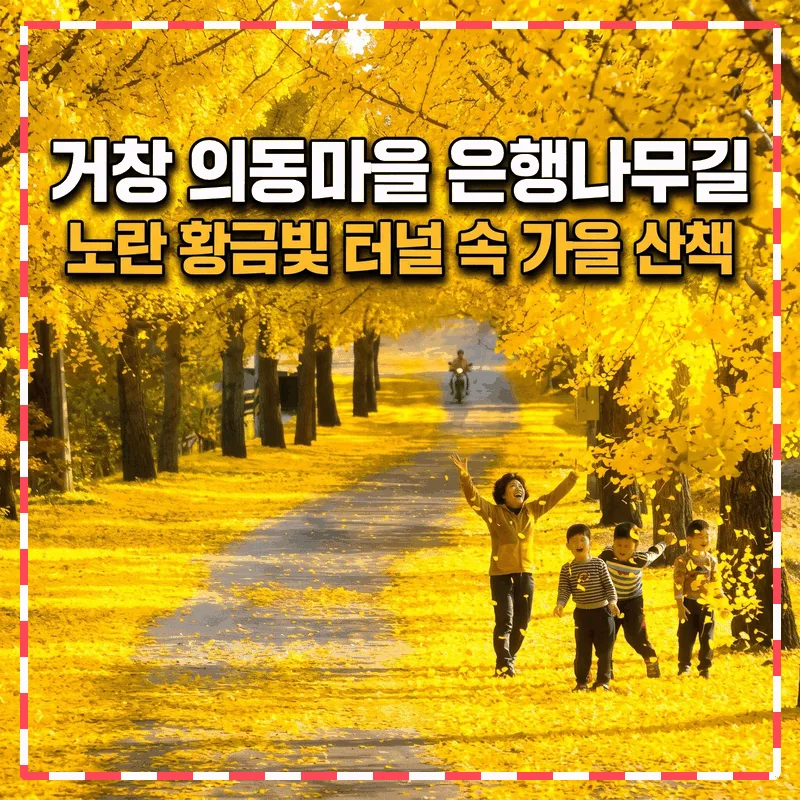 거창 의동마을 은행나무길, 노란 황금빛 터널 속 가을 산책
