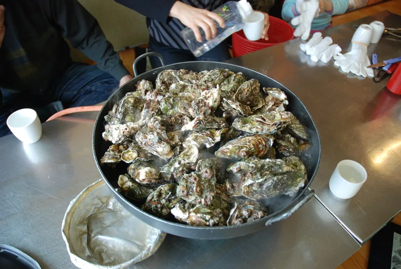 Geoje Food OysterCuisine