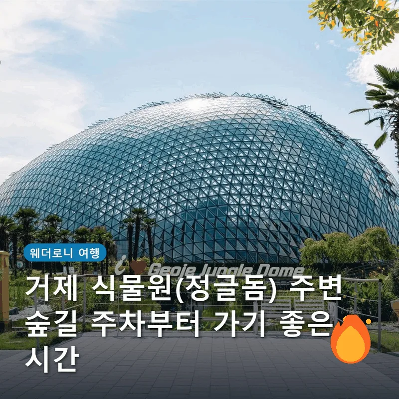 거제 식물원(정글돔) 주변 숲길 주차부터 가기 좋은 시간