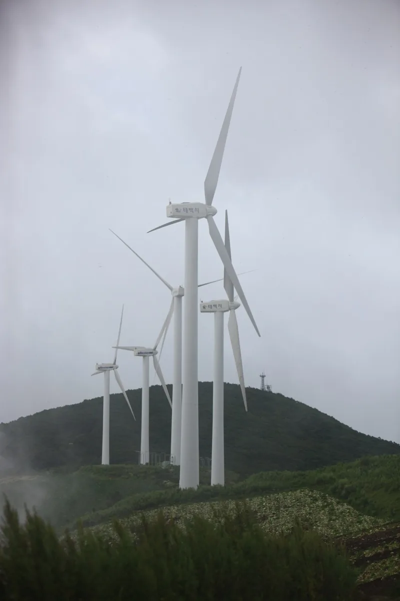 매봉산 풍력발전단지(바람의언덕)