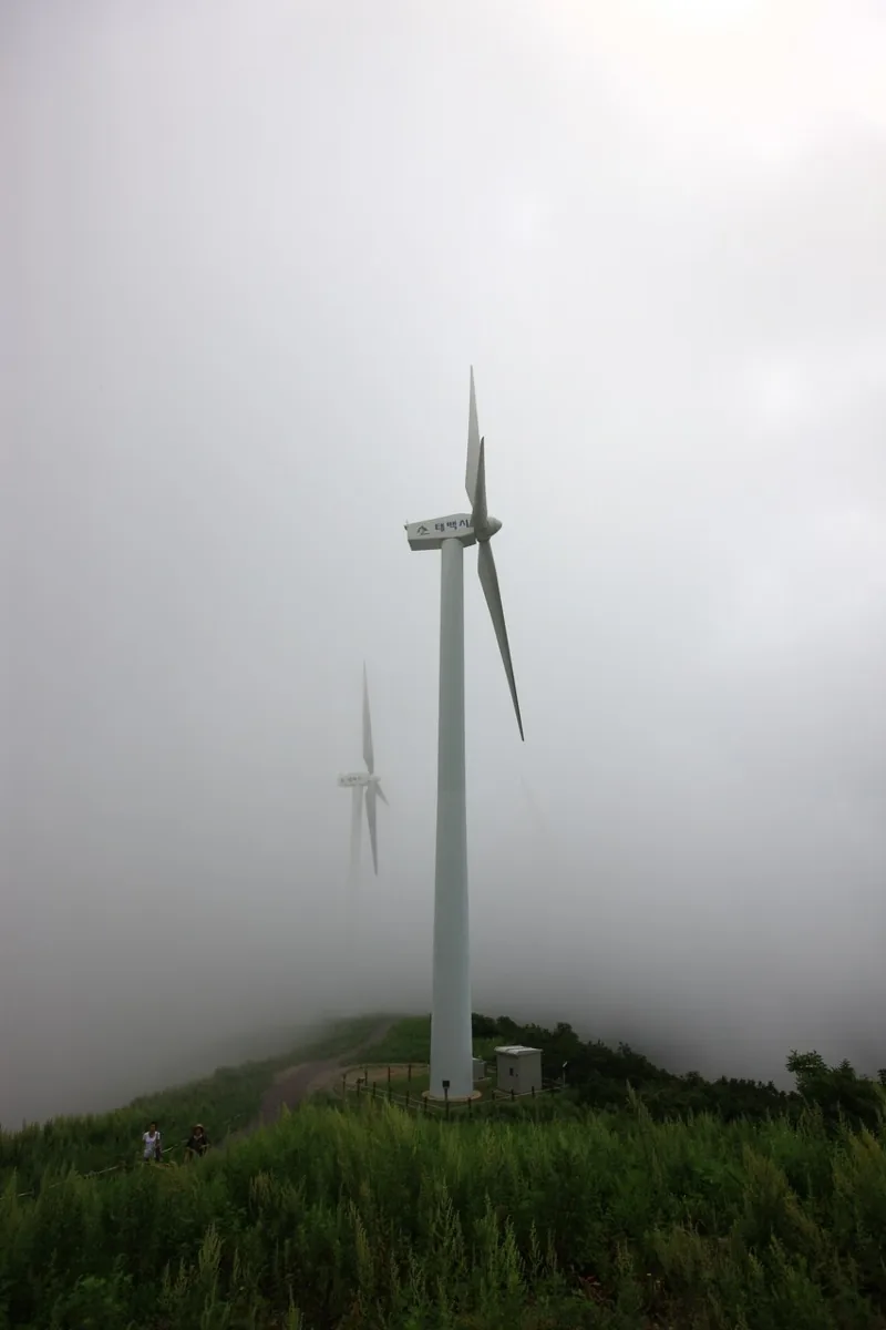 매봉산 풍력발전단지(바람의언덕)
