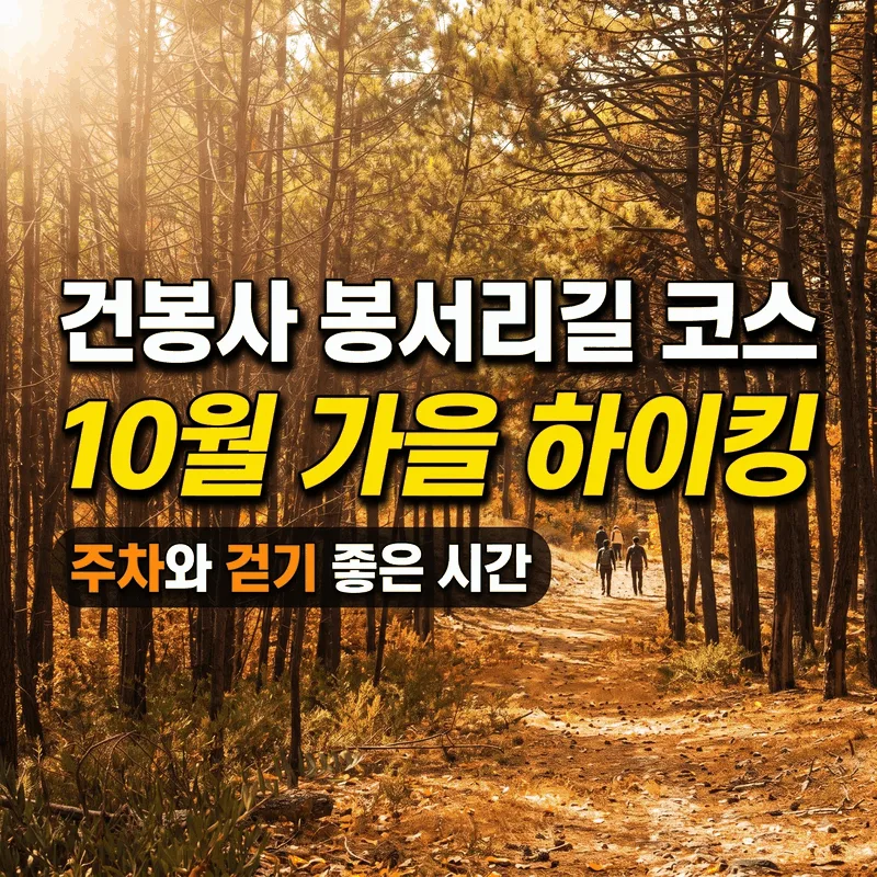 건봉사 봉서리길 코스 10월 가을 산행 주차와 걷기 좋은 시간