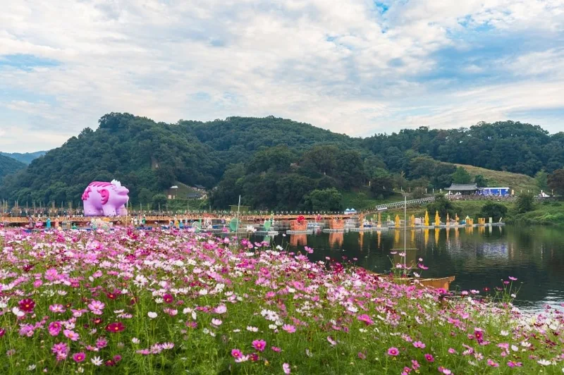 금강신관공원 상세이미지9