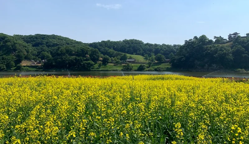 금강신관공원 상세이미지6