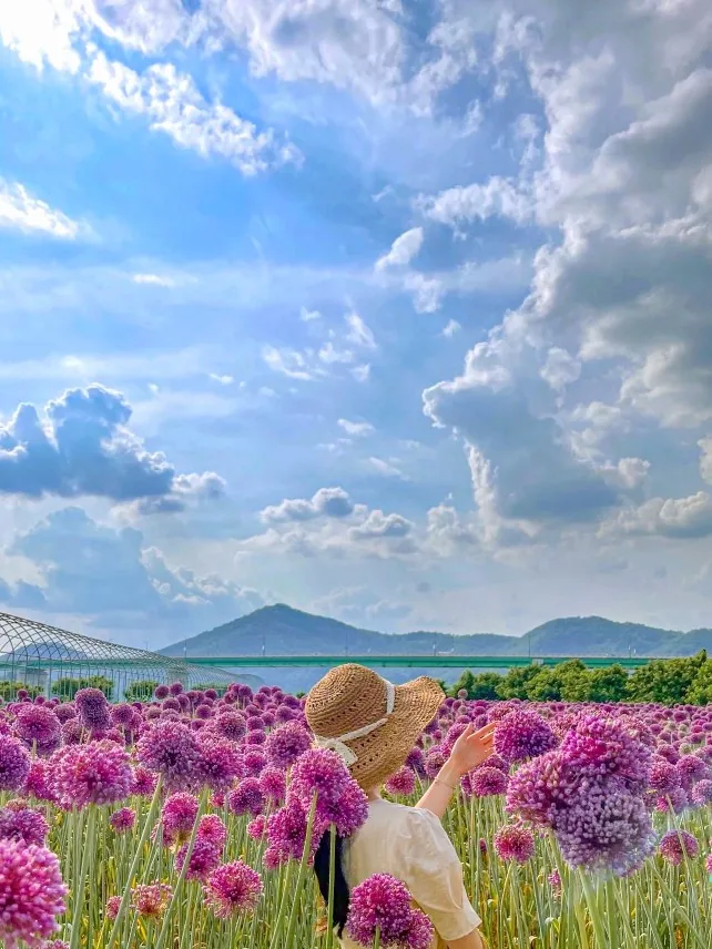 금강신관공원 상세이미지8