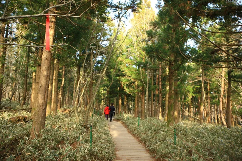 한라산