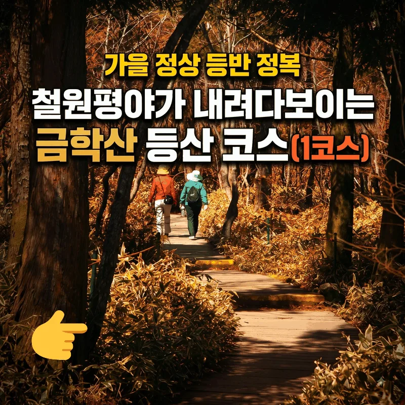 철원 평야 내려다보는 금학산 등산 코스 (제1등산로) 가을 정상 산행 정복기