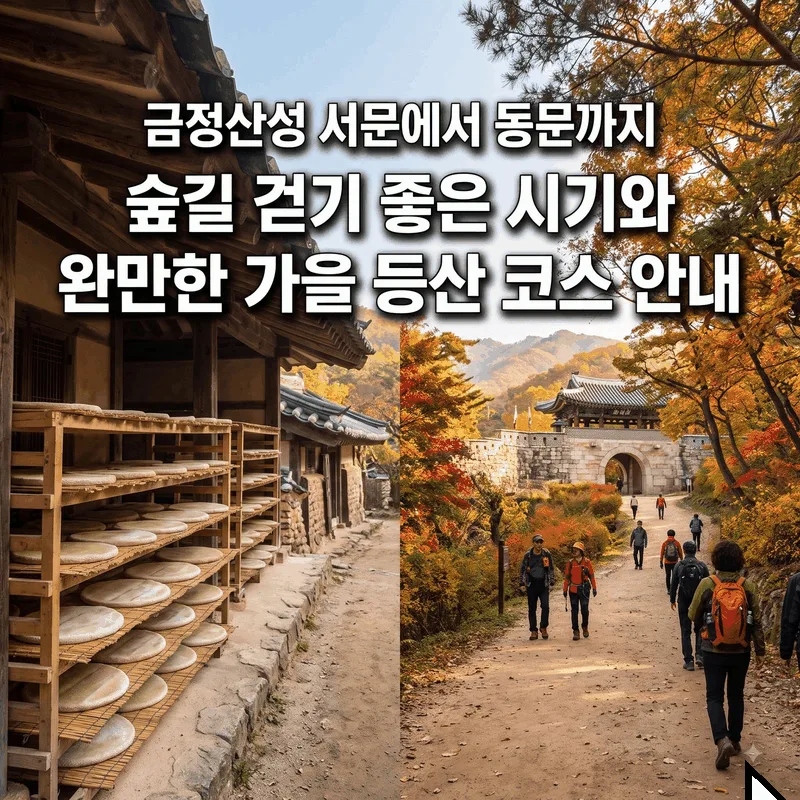 금정산성 서문~동문 숲길 가기 좋은 시간과 완만한 가을 등산 코스 안내