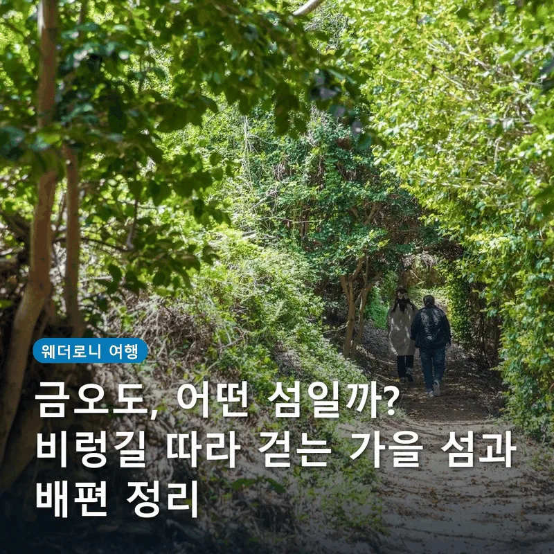 금오도, 어떤 섬일까? 비렁길 따라 걷는 가을 섬과 배편 정리
