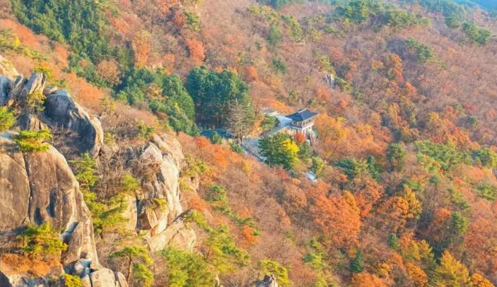 태고사 모습 / 사진=충청남도 공식 블로그 지구유목민