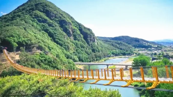 월영산 출렁다리 전경 / 사진=월영산 출렁다리